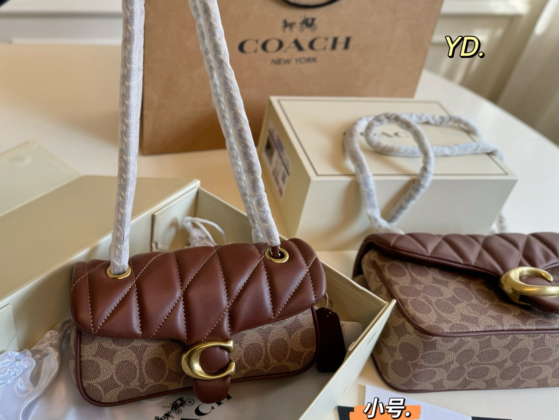 coach bag 217
